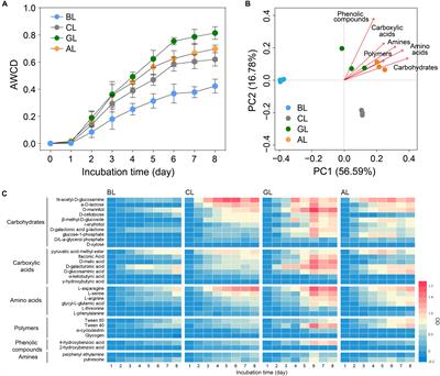 Keystone Microbiomes Revealed by 14 Years of Field Restoration of the Degraded Agricultural Soil Under Distinct Vegetation Scenarios